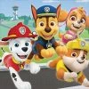 Paw Patrol Adventure Lunch Napkins - 16 Pack 2 Paw Patrol Adventure Lunch Napkins - 16 Pack -Plush & Soft Toys Sales BA 512441