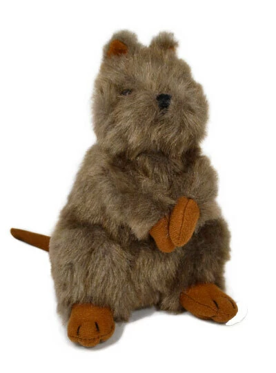 CA Australia Chuckles The Quokka Small 18cm Australian Marsupial Soft Plush 3 CA Australia Chuckles The Quokka Small 18cm Australian Marsupial Soft Plush