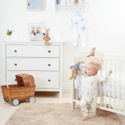 Signature Peter Rabbit Plush 34cm 15 Signature Peter Rabbit Plush 34cm -Plush & Soft Toys Sales JA000780 5