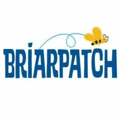 Briarpatch First 100 Matching Card Game – Words 8 Briarpatch First 100 Matching Card Game – Words -Plush & Soft Toys Sales UG 1337 3