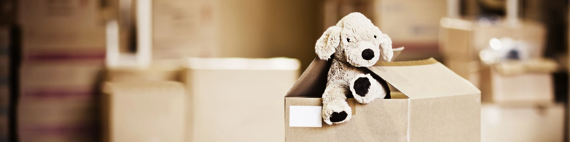 Plush & Soft Toys Sales -Plush & Soft Toys Sales industries toys hero banner